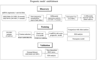 Integrative Analysis Identified a 6-miRNA Prognostic Signature in Nasopharyngeal Carcinoma